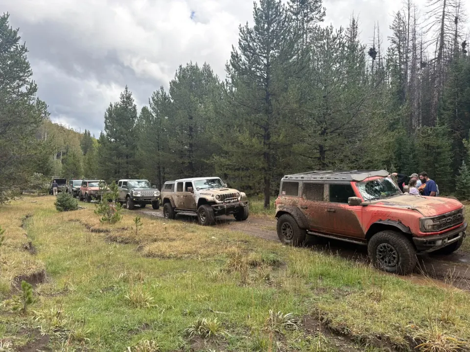 A line of club vehicles and members stopped along a forest trail